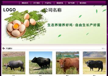 經(jīng)濟(jì)型成品案例站No:5001