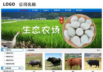 經(jīng)濟(jì)型成品案例No:7199