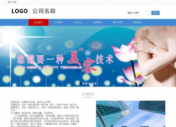 響應(yīng)式成品案例站No:817