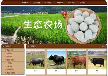 經(jīng)濟(jì)型成品案例站No:8234