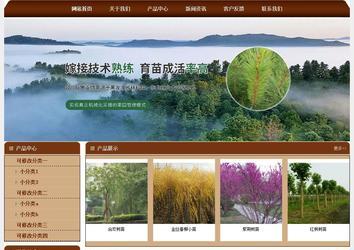 經(jīng)濟型成品案例站No:8234