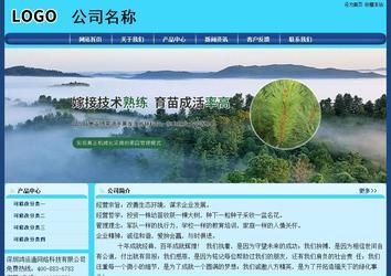 經(jīng)濟型成品案例站No:8238