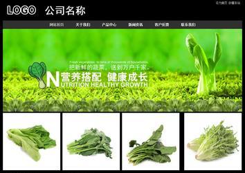 經(jīng)濟型成品案例站No:8338