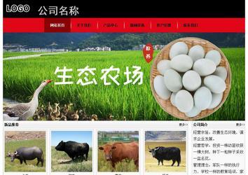 經(jīng)濟型成品案例No:8372