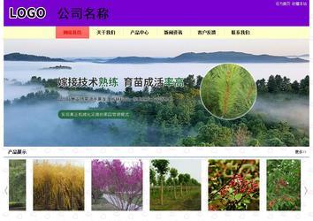 經(jīng)濟型成品案例站No:8383