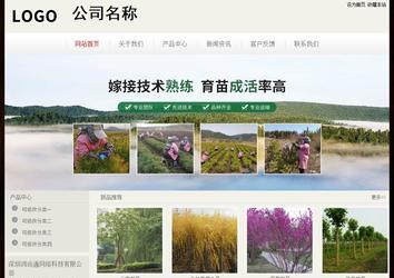 經(jīng)濟型成品案例No:8520