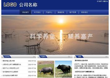 經(jīng)濟(jì)型成品案例站No:8903